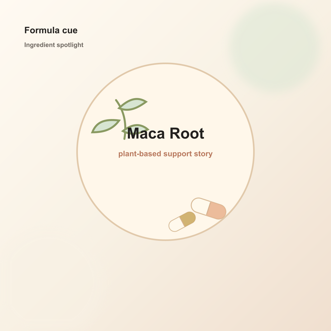 Happy Marmo ingredient card for Maca Root